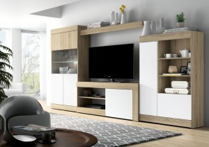 salon 1
